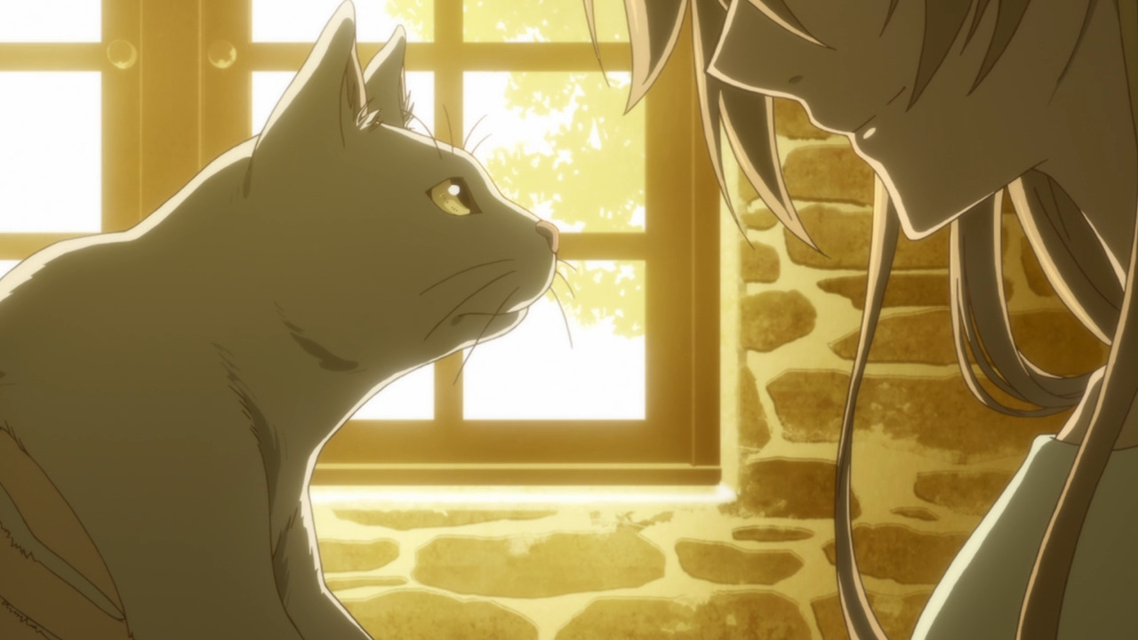 The Sorting Cats [Mahoutsukai no Yome/ Ancient Magus' Bride season