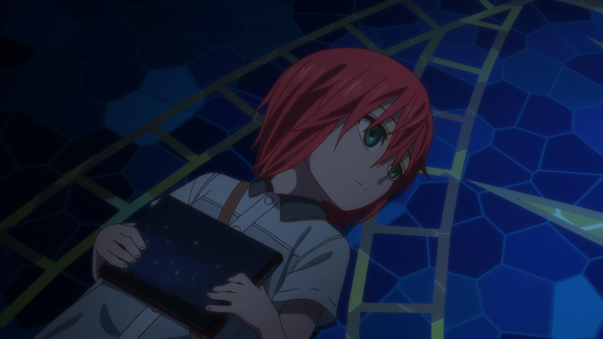 Mahoutsukai no Yome (The Ancient Magus' Bride) OVA Media Review