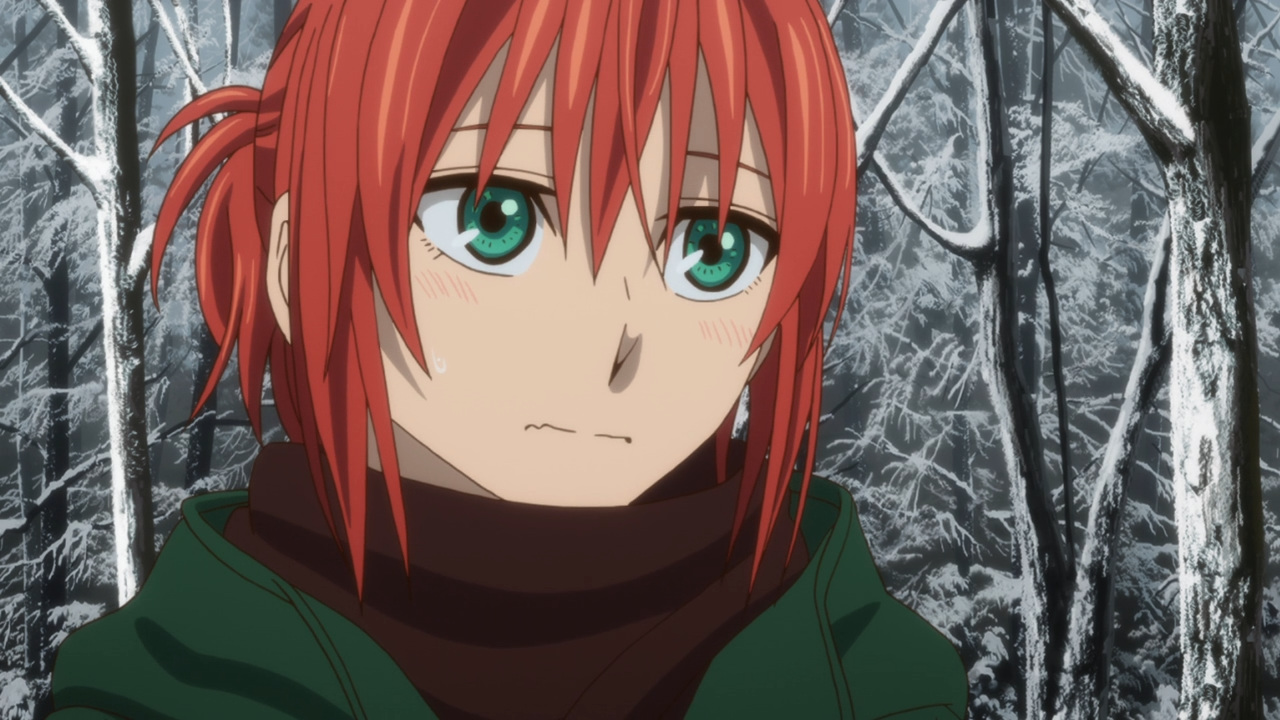 Mahoutsukai no Yome (The Ancient Magus' Bride) - Pictures 