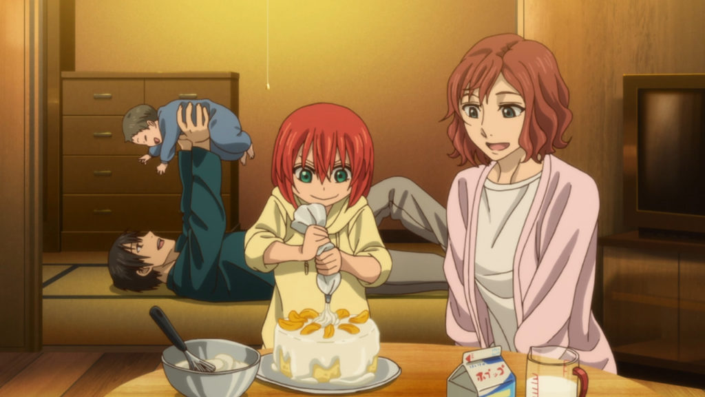 Mahoutsukai no Yome (The Ancient Magus’ Bride) T.V. Media Review