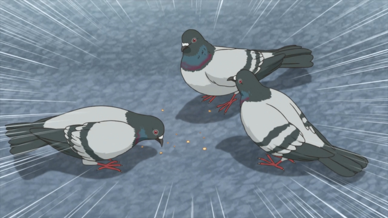 Clip] Senpai vs. Pigeons [Tejina-senpai] : r/anime