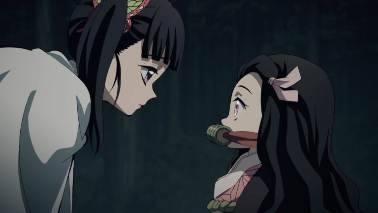 Kimetsu no Yaiba T.V. Media Review Episode 21 | Anime Solution