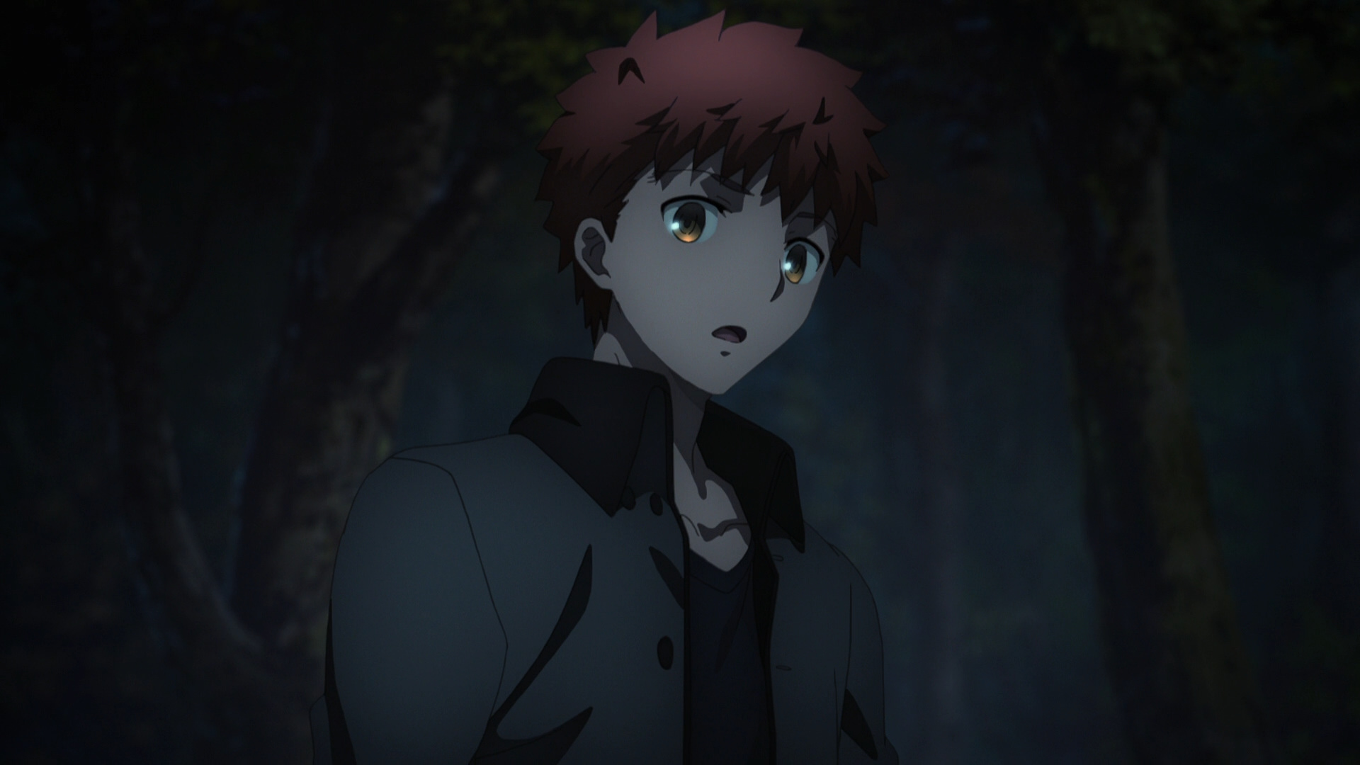 Fate/stay night Movie: Heaven's Feel - II. Lost Butterfly - Pictures 