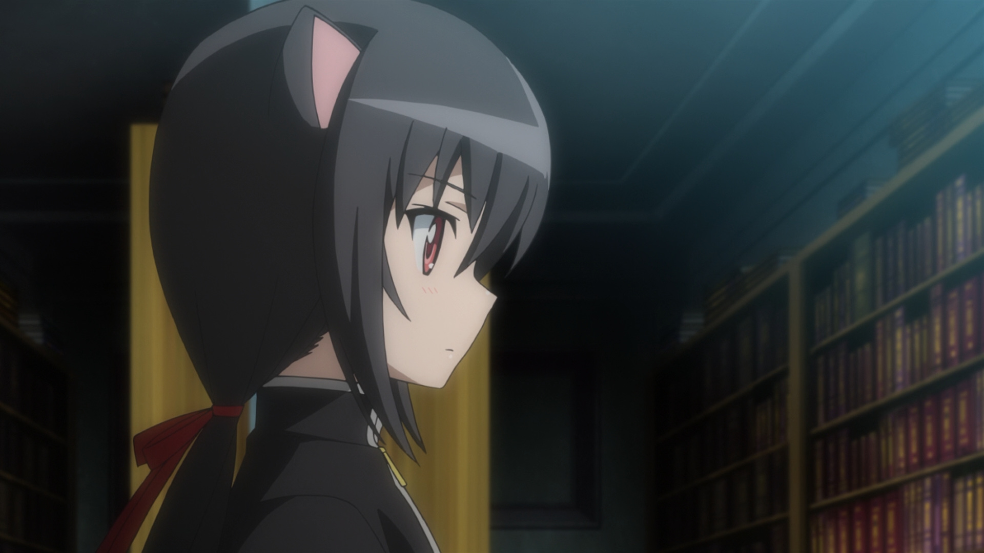 Anime Characters Database on X: Do You Like Noir Vinocacao from #anime Dog  Days   / X